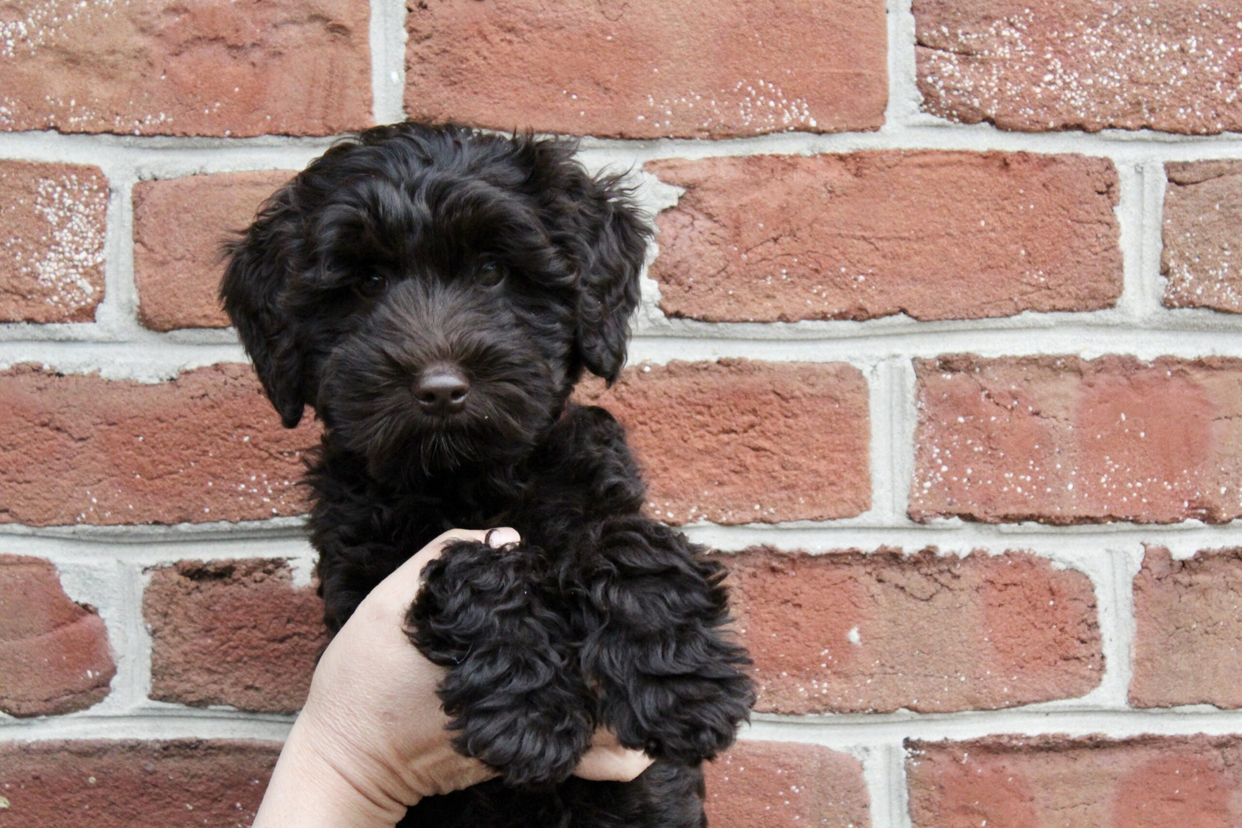 EBE50DF2-2134-4C82-A48F-4C5BDE369B68_1_201_a