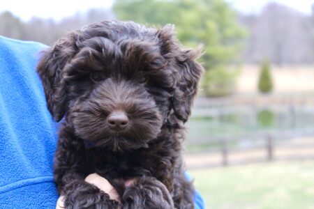 F1CF3630-9AA2-42FC-88A3-A659D2EF7EB1_1_201_a