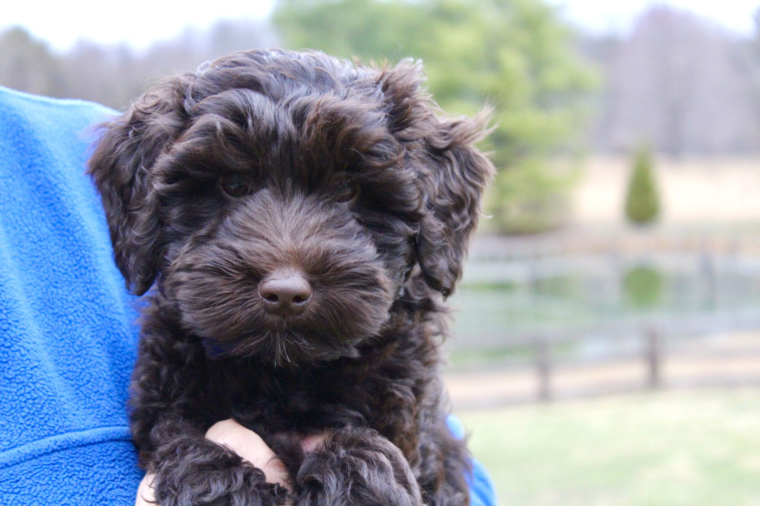 F1CF3630-9AA2-42FC-88A3-A659D2EF7EB1_1_201_a